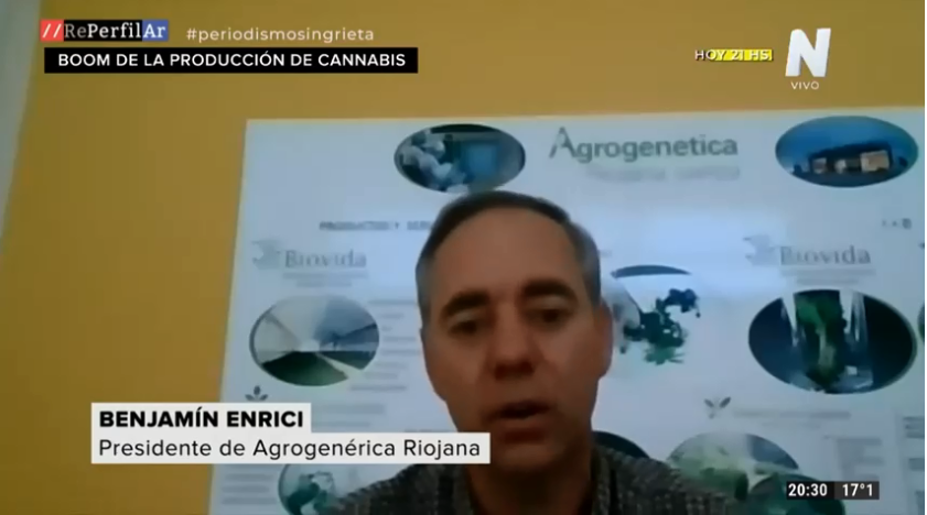 La Rioja avanza para la producción industrial de aceite de cannabis