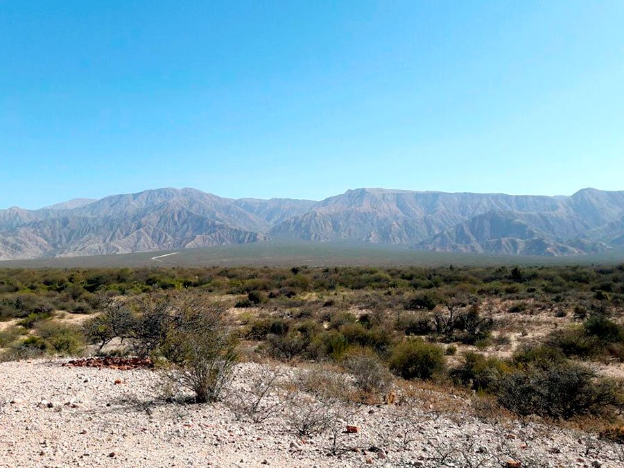 Ambiente Nación avanza en la lucha contra la desertificación en La Rioja