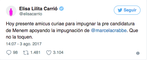 La CNE rechazó el pedido de Carrió para impugnar a Menem La Política Online