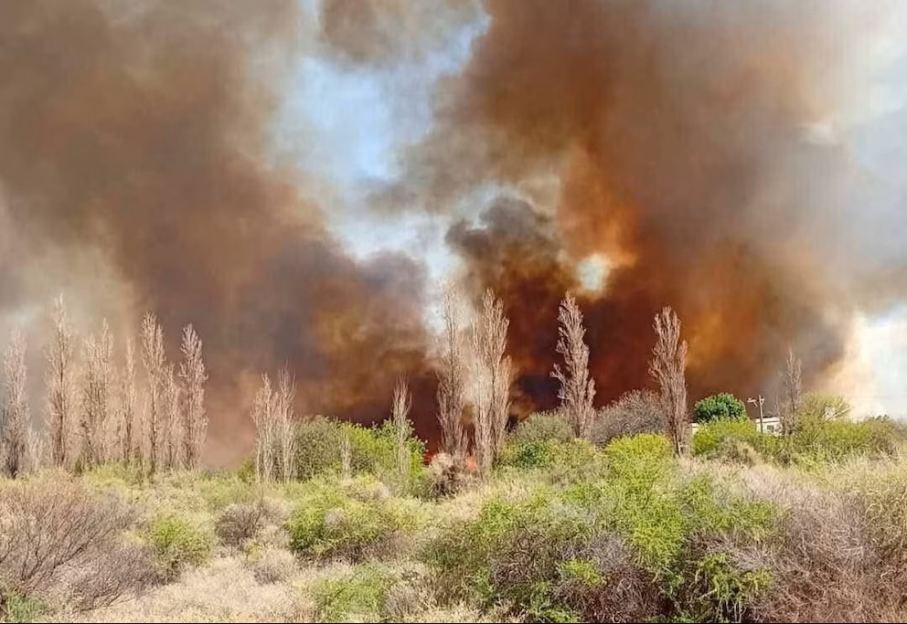 Incendio en La Rioja: el fuego consumió 14 hectáreas y hay tres detenidos por presunta provocación