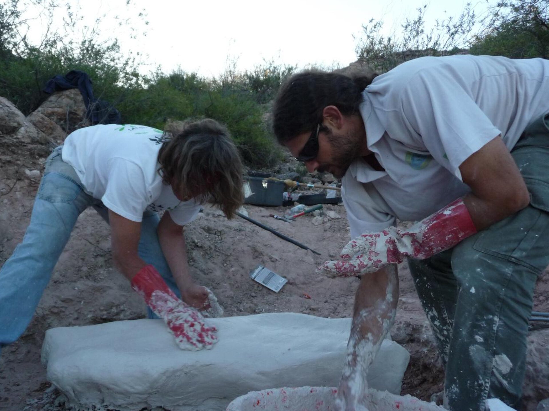 Descubrimiento paleontológico en La Rioja: presentan al dinosaurio carnívoro Vitosaura colozacani