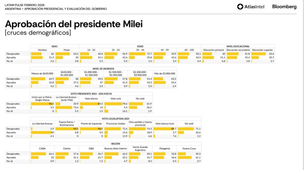 Gráfico de aprobación del presidente Milei con datos demográficos sobre sexo, edad, nivel educativo, ingreso y votación en Argentina.