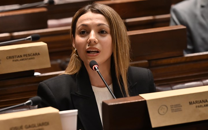 La parlamentaria Mariana Urbano reclamó en el Parlasur «desarrollo real» para los territorios olvidados y enmarcó el debate en la integración fronteriza educativa
