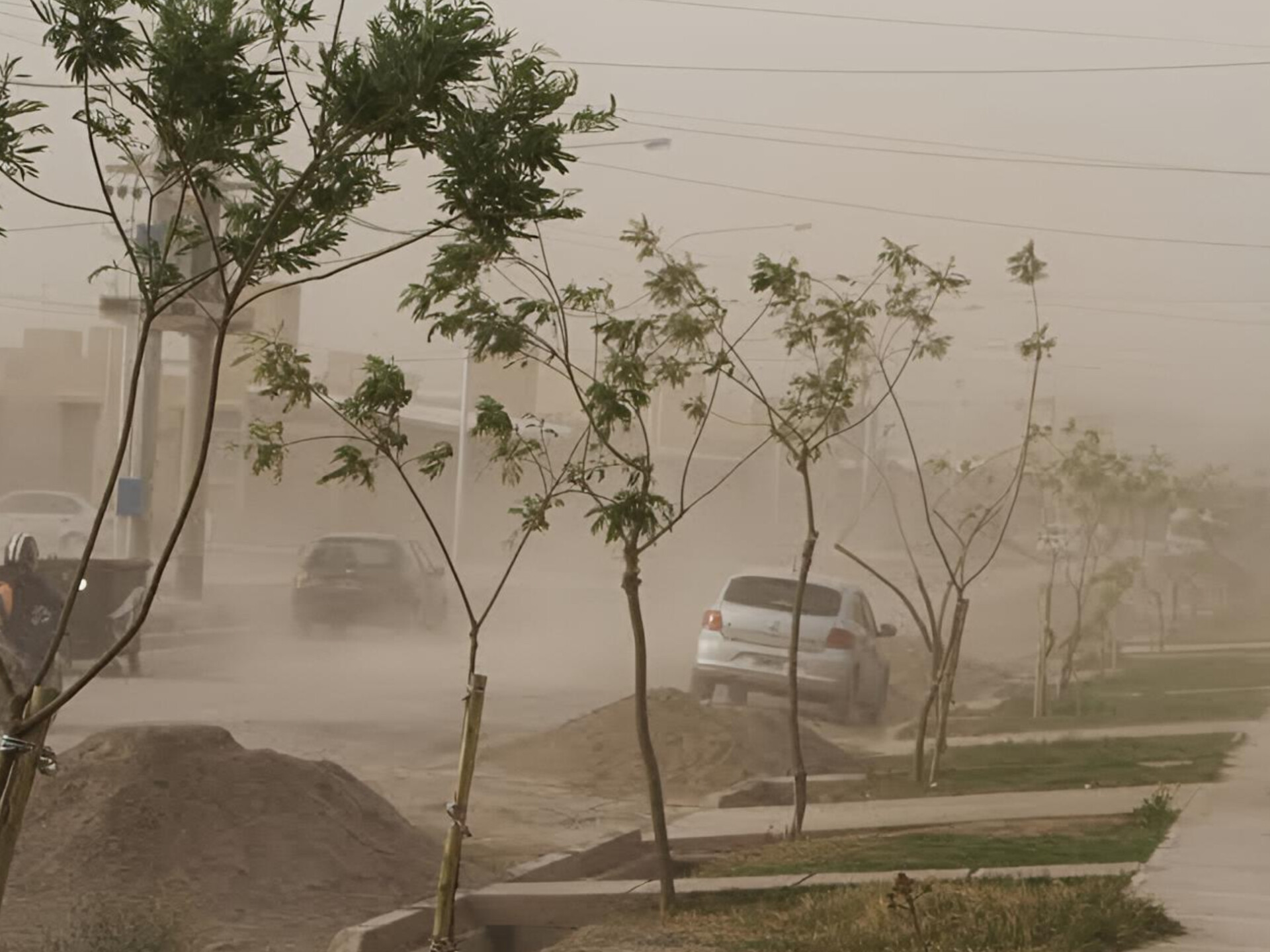 Alerta amarilla por viento en La Rioja: prevén ráfagas de más de 70 km/h