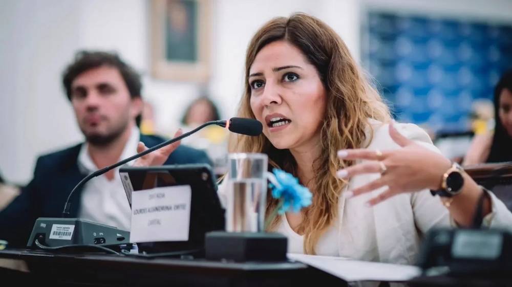 Lourdes Ortiz defendió la suspensión de ejecuciones prendarias por 180 días