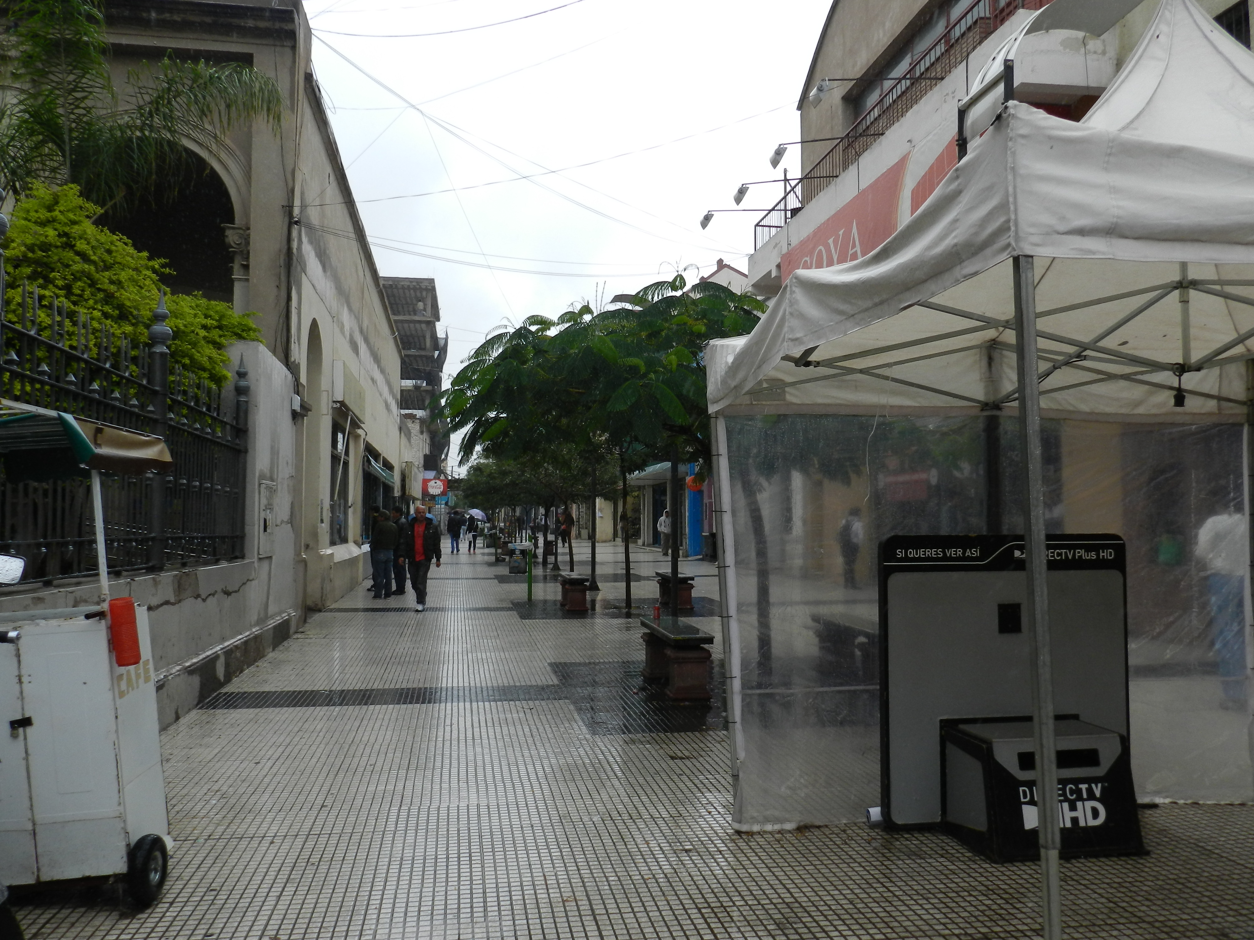 Comercios y peatones en el paseo peatonal del centro de La Rioja.