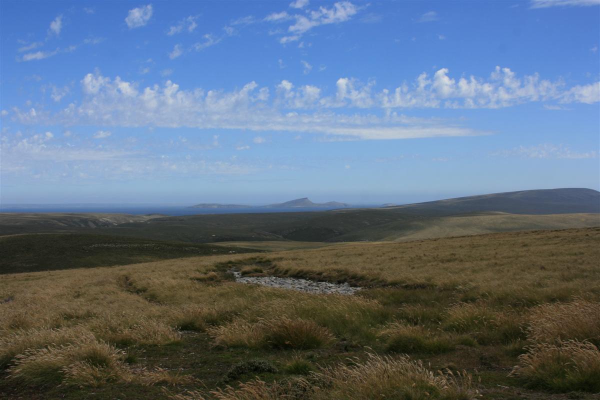 Paisaje de las islas Malvinas en el Atlántico Sur.