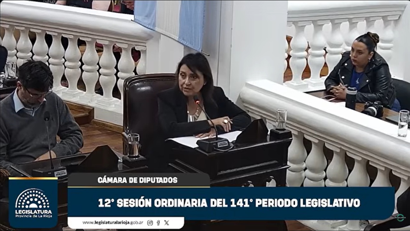 «El gasoducto estaba al 97% y prefirieron pavimentar la ruta a la finca de Quintela»: la dura denuncia de Andrea Juárez en el recinto