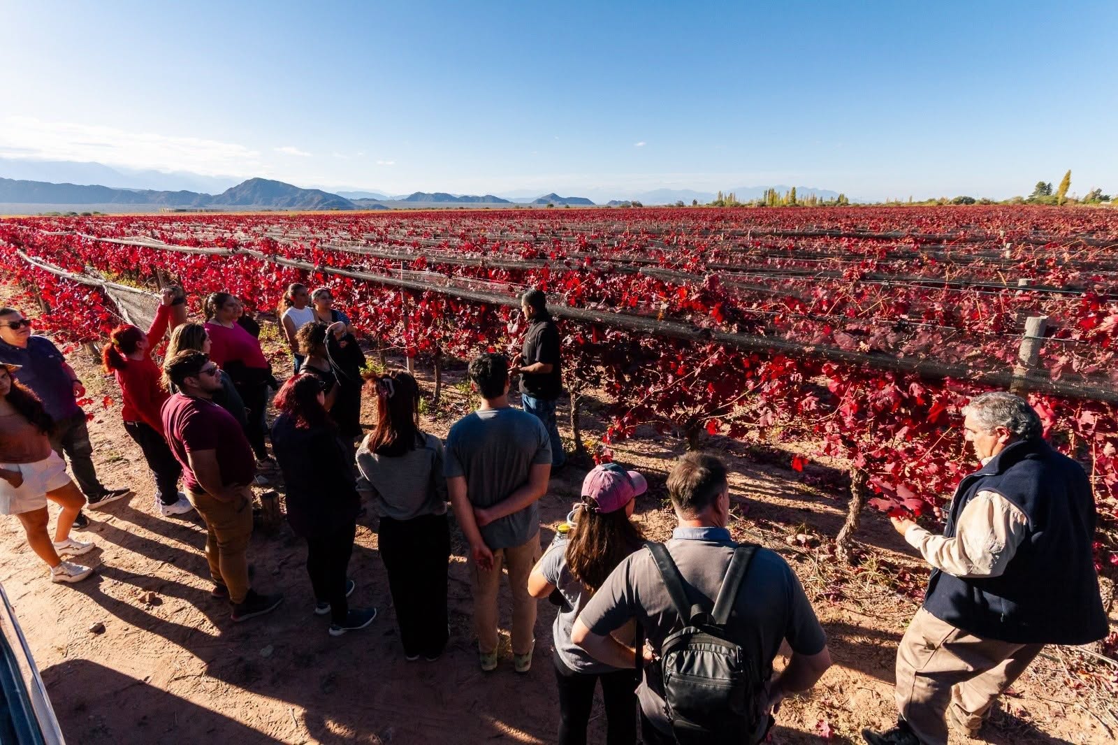 El mapa real del turismo internacional y el golpe al Norte: los argentinos gastaron USD 1.558,9 millones afuera y a la región de La Rioja llegó apenas el 2,7% de los extranjeros