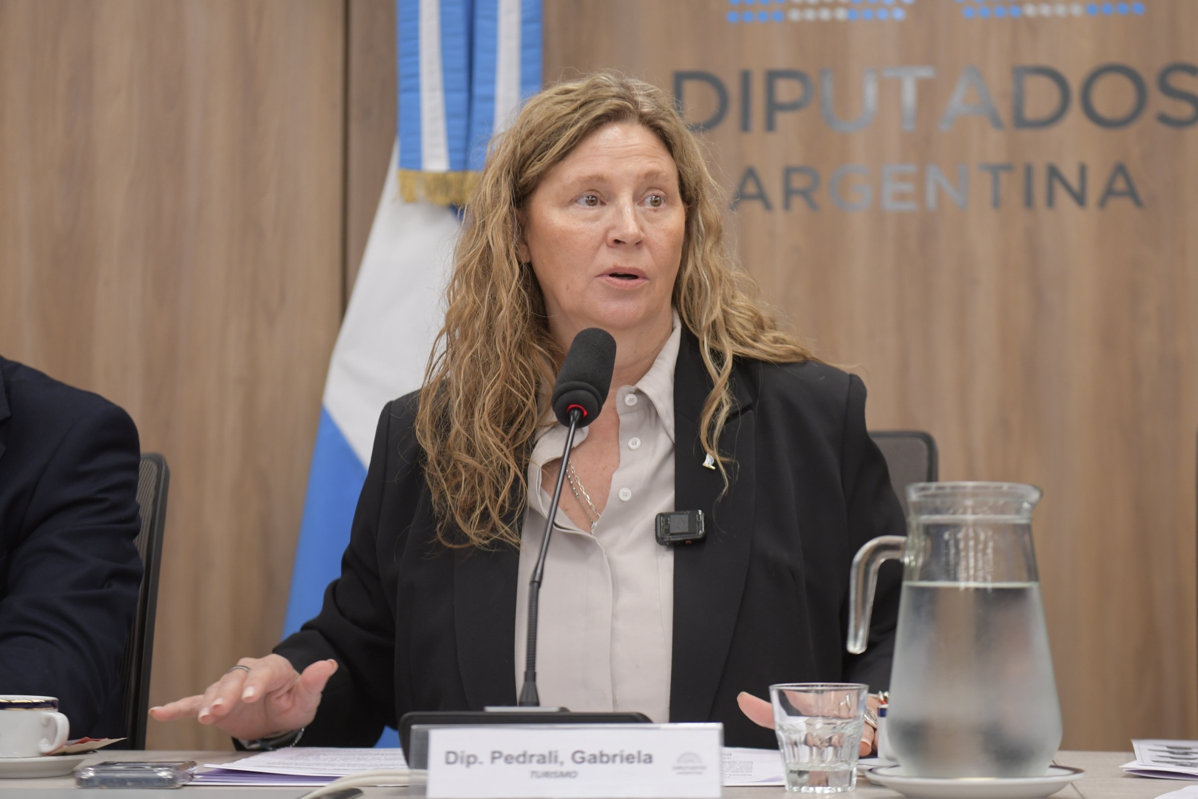 «Hicieron todas las maniobras para evitar el debate»: Gabriela Pedrali cruzó a Menem tras la caída de la sesión por el DNU 70